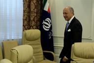 دیدار وزیر نفت بیژن زنگنه با لوران فابیوس وزیر خارجه فرانسه 94.5.7 (7)