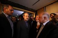 بازدید رییس مجلس لاریجانی و وزیر نفت بیژن زنگنه از نمایشگاه تاسیسات دریایی در ساختمان مجلس 94.3.17 (15)