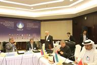 دومین جلسه گروه عالیرتبه برگزاری سومین اجلاس سران صادر کننده گاز 94.6.10 (9)