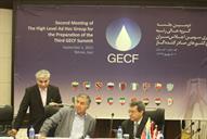 دومین جلسه گروه عالیرتبه برگزاری سومین اجلاس سران صادر کننده گاز 94.6.10 (12)