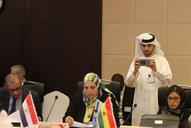 دومین جلسه گروه عالیرتبه برگزاری سومین اجلاس سران صادر کننده گاز 94.6.10 (15)