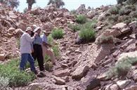 عملیات اکتشاف- عملیات زمین شناسی در کوههای الیگودرز 28-3-1379 عبدارضا محسنی (14)
