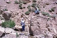 عملیات اکتشاف- عملیات زمین شناسی در کوههای الیگودرز 28-3-1379 عبدارضا محسنی (24)