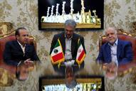 دیدار وزیر نفت بیژن زنگنه با وزیر کار مکزیک 1394.6.17 (8)