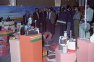 بازدید اعضای کمیسیون نفت مجلس از نمایشگاه دستاوردهای وزارت نفت در هفته دولت-1370.7-عبدالرضا محسنی (8)