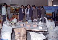 بازدید اعضای کمیسیون نفت مجلس از نمایشگاه دستاوردهای وزارت نفت در هفته دولت-1370.7-عبدالرضا محسنی (9)