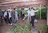 بازدید ائمه جمعه و روحانیون از منطقه ویژه پتروشیمی ماهشهر -1381.7- عبدالرضا محسنی (19)