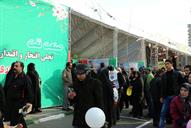 راهپیمایی 22 بهمن 94 و غرفه وزارت نفت در مسیر راهپیمایی (4)