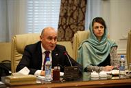 دیدار امیر حسین زمانی نیا با دیتر هالردیتر هالر، مدیر بخش امور اقتصادی و توسعه پایدار وزارت خارجه آلمان14 بهمن (14)