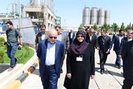 افتتاح پتروشیمی مهاباد توسط حسن روحانی رئیس جمهور و بیژن زنگنه وزیر نفت 95.3.11 رشیدی مقدم (12)