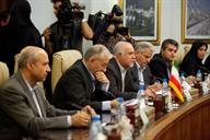دیدار لئون یولیان وزیر انرژی و منابع طبیعی ارمنستان با بیژن زنگنه وزیر نفت ایران نازیلا حقیقتی (8)